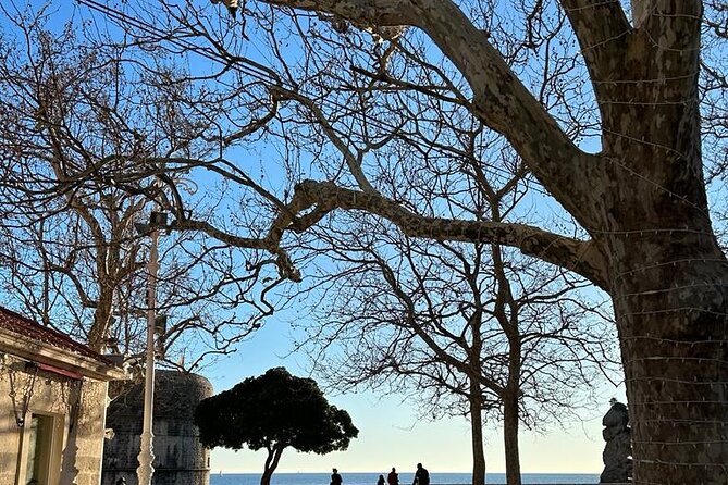 Visit Dubrovnik Private Day Tour - Itinerary Highlights