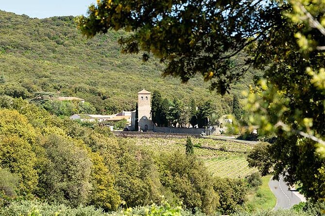 Visit to Vineyards and Tastings Departing From Béziers - Cancellation Policy Specifics