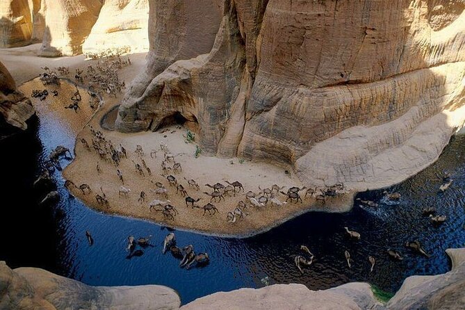 Wadi El Gemal Desert Expedition With Transport