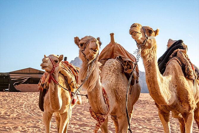 Wadi Rum Private Tour From Petra With Martian and Star Wars Film Site - Tour Itinerary