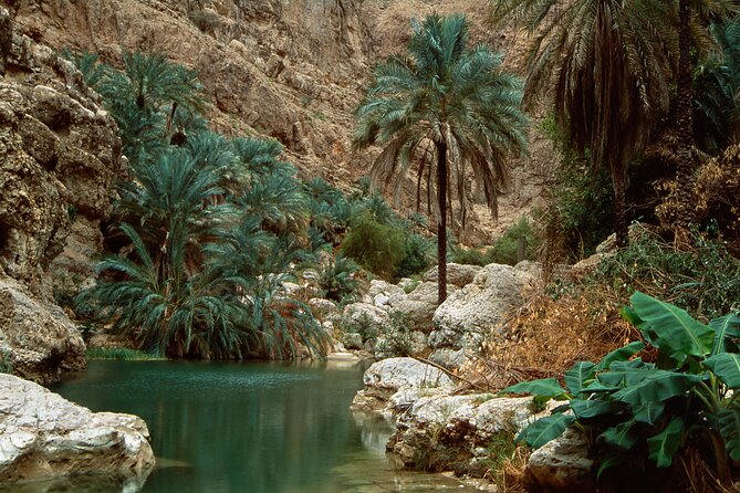 Wadi Shab and Bimmah Sinkhole Group Full Day Tour - Visitor Recommendations