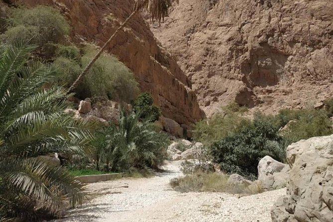 Wadi Shab Tour With Bimmah Sinkhole Tour (Price per Vehicle) - Reviews and Guarantees