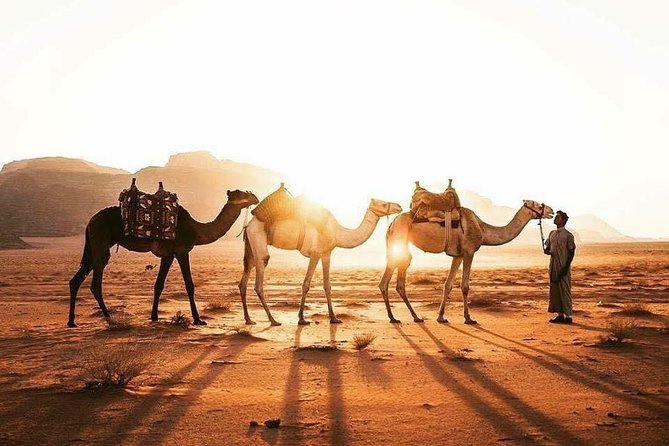 Wadirum & Petra Tour 02 Days / 01 Night From Eilat Border - How to Book
