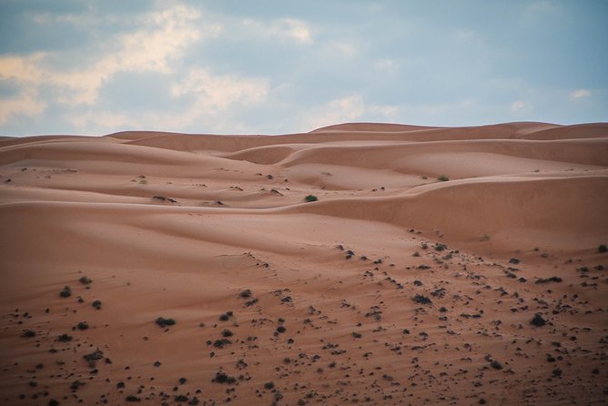 Wahiba Desert Safari With Bedouin Traditional Lunch or Dinner - Reviews and Ratings