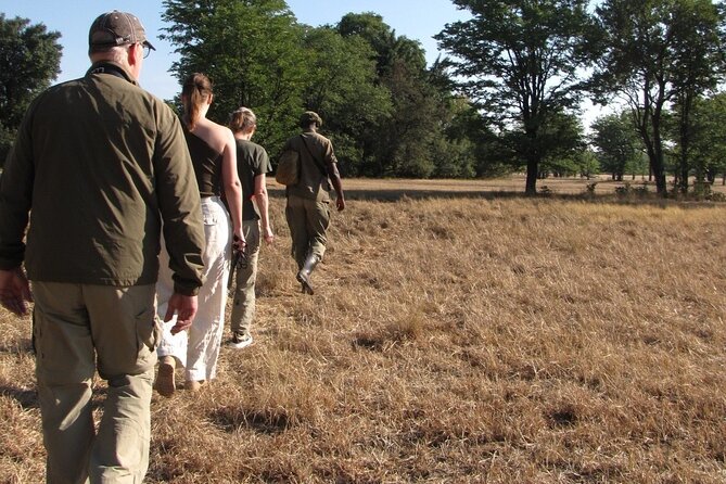 Walking Safari - The Sum Up