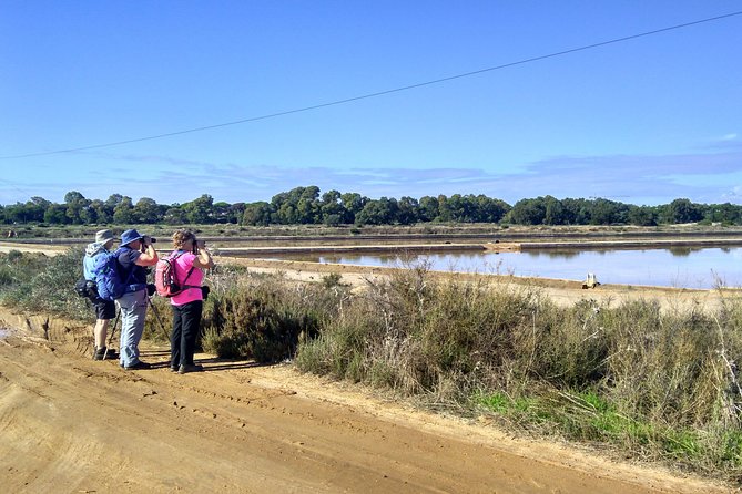 Watching the Blue Skies of Monte Gordo - Self-Guided Birding W/ Car - Inclusions and Exclusions