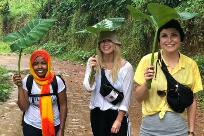 Waterfalls, Coffee, Hotsprings, Food Cuisine, & Serval Wildlife - Additional Information: Confirmation, Accessibility
