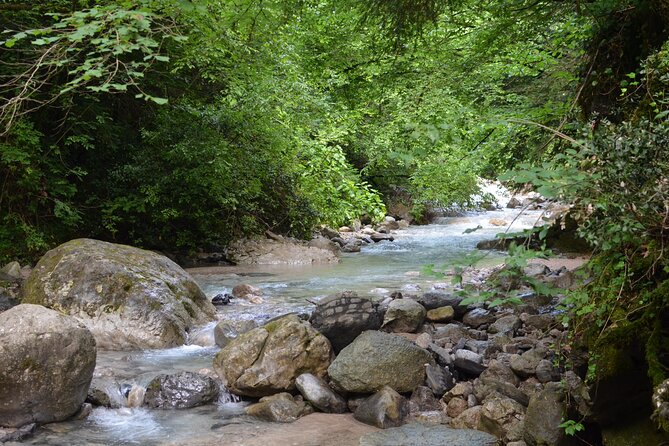 Wayfarers Trail: Hike on Lake Como With Lunch - Additional Information