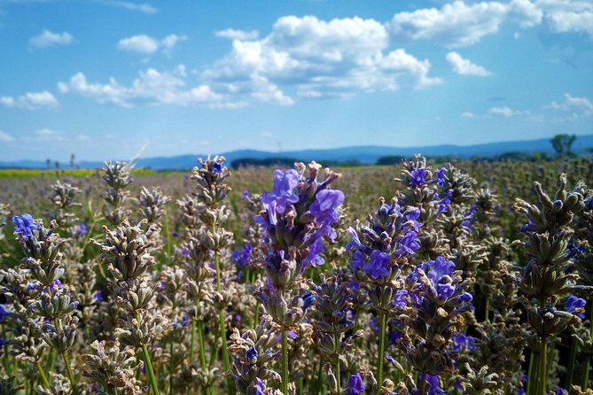 Weekend in Bulgaria - Packing List for Your Bulgarian Escape
