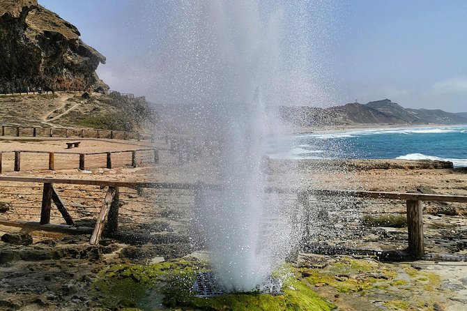 West Salalah, Al Mughsail Beach, White Beach, Frankincense Tree (Half Day Tour) - Booking Confirmation