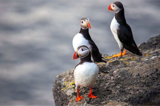Westman Islands, Volcanoes and Puffins Small Group Tour - Directions