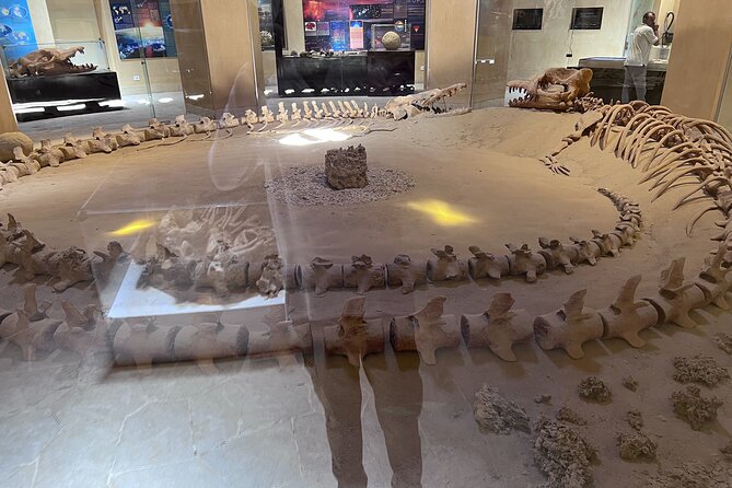 Whales Valley Museum, Magic Lake and Waterfalls in Faiyum Desert - Activities and Options for All Ages