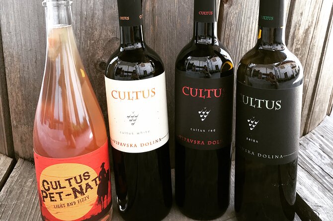 Wine Tasting in the Oldest Dated Cellar From 1683 in Vipava - Cancellation Policy