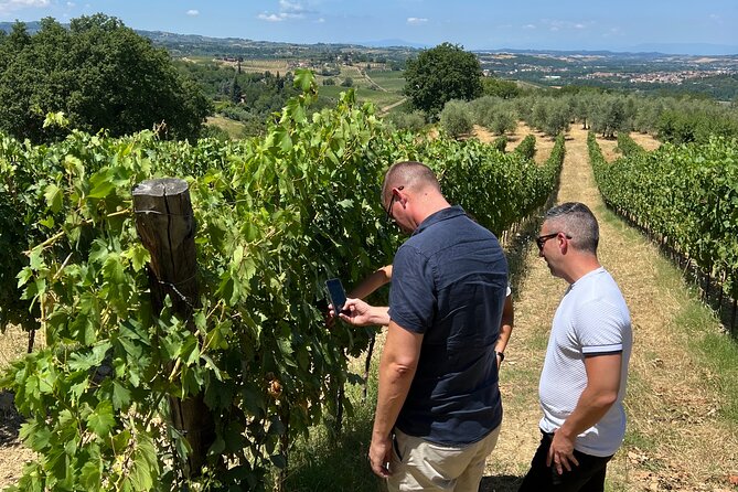 Wine Tasting Tour From La Spezia to Lucca Tuscany Italy - Frequently Asked Questions