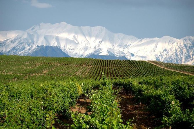 Wine Trip Caucasus (Azerbaijan and Georgia) - Additional Information