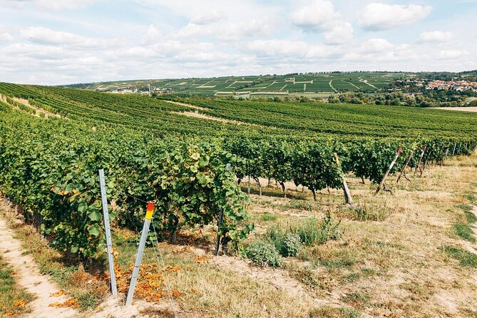 Wineries and Heritage of Areni Walking Tour - Frequently Asked Questions