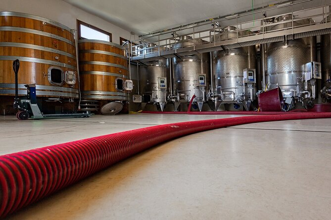 Winery Tour With Wine and Food Tasting in Nuoro - Additional Information