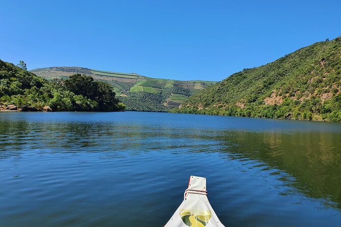 With Reduced Mobility Visit the Douro Valley From Porto - Inclusions and Exclusions