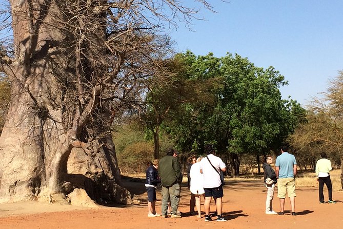 Your Private Driver & Tour Guide in Senegal-Reserve of Bandia - Enjoy a Delicious Breakfast in Nature
