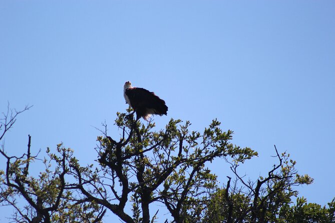 Zambezi River Sunset Boat Cruise at Victoria Falls - Directions