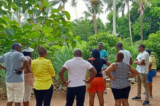 Zanzibar Spice Farm Tour - Reviews