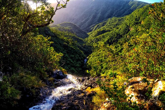 Zen Route - Private & Exclusive Full Day Tour With Lunch Included - Booking and Reservation Process