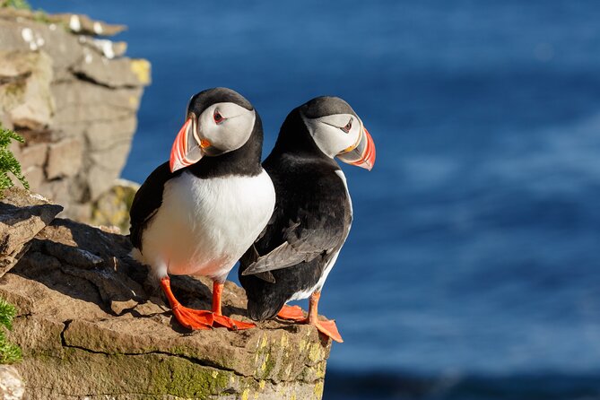 5-Day Iceland Stopover Package - Good To Know