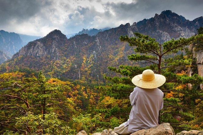 5-Day Korea Golden Route by K-Shuttle Tour From Seoul Including Busan, Yeosu - Good To Know