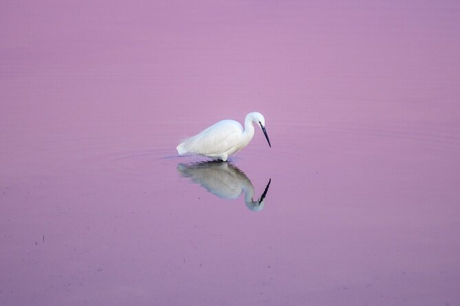 5-Day Photography and Gaze Education Course in Venice - Good To Know