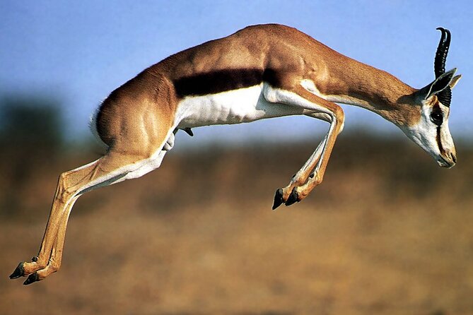 5-Day Private Tour Mikumi National Park and Selous Game Reserve - Tour Itinerary