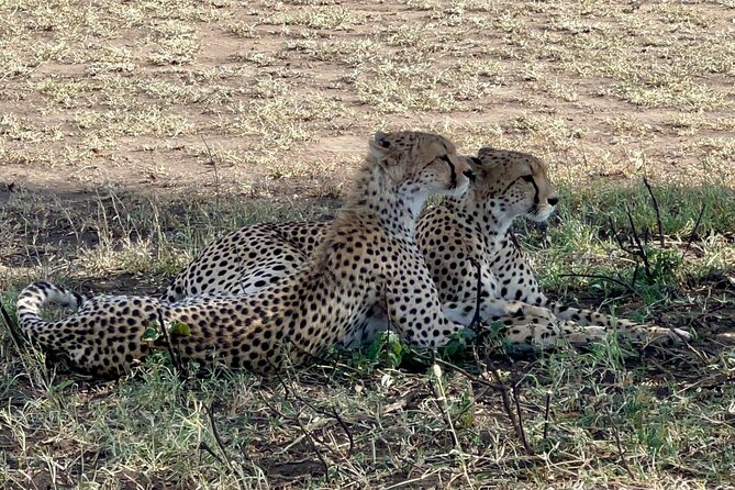 5-Day Visit Zimbabwe, Zambia, Botswana & Namibia Island - Tour Highlights