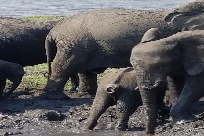 5 Days 4 Nights Budget Adventure Safari In Victoria Falls & Chobe National Park - Good To Know