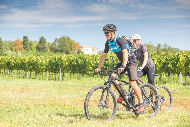 5-Days Guided Bike Tour in Istria With Private Accommodation