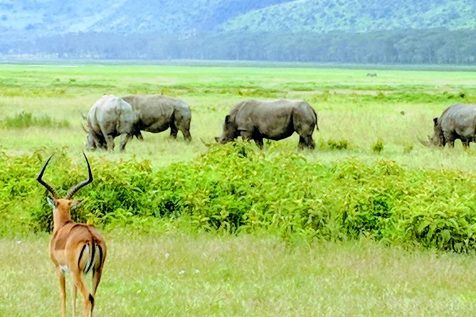 5 Days Kenya Safari - Good To Know
