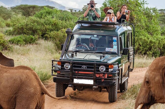 5 Days Mombasa,Tsavo East, Taita Salt Lick, Tsavo West, Amboseli, - Good To Know