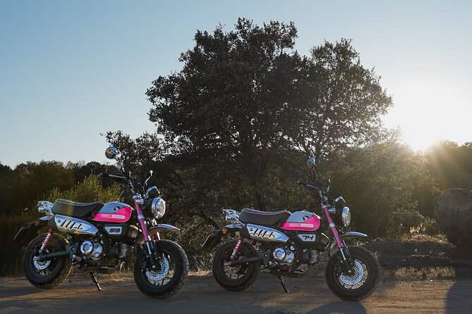 5 Days Motorcycle Fun Tour in the North of Portugal