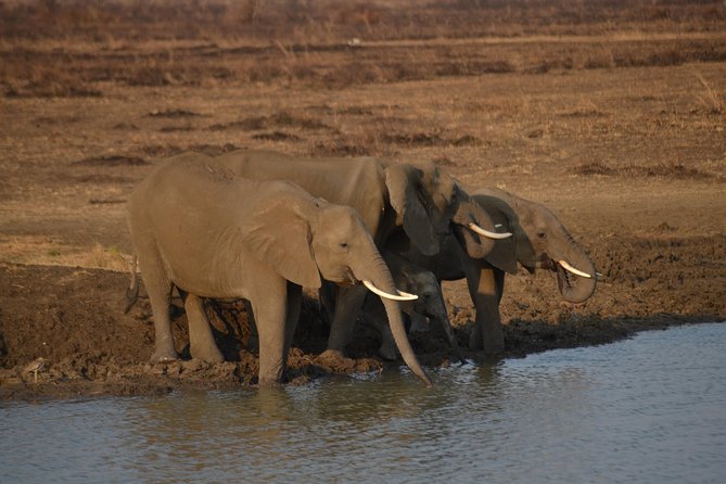 5 Days Safari- Mikumi, Ruaha National Park And Udzungwa National Park. - Good To Know