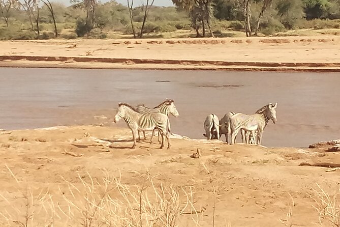 5 Days Safari to Samburu N/R, Meru N/P, Mid Range. - Good To Know