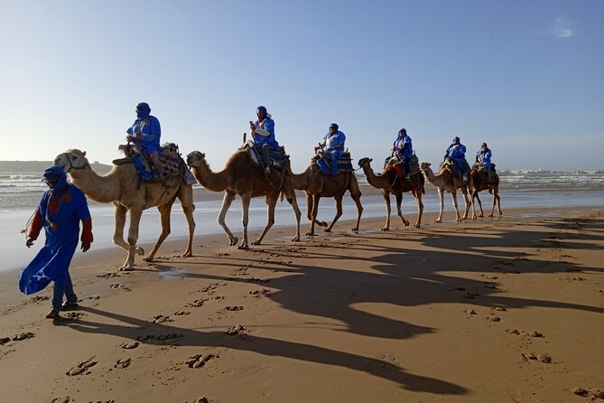 1/2 Day Camel Trekking in Essaouira With Meals - Customer Reviews