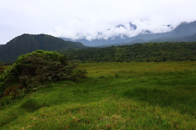 1 Day Arusha National Park (Game Drive and Walking Safari). - Frequently Asked Questions