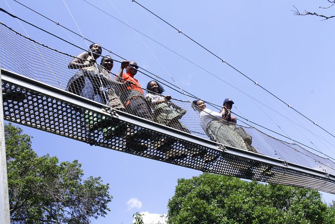 1 Day Canopy Walk Adventure in Nyungwe Forest Park (2 Pax Min) - The Sum Up