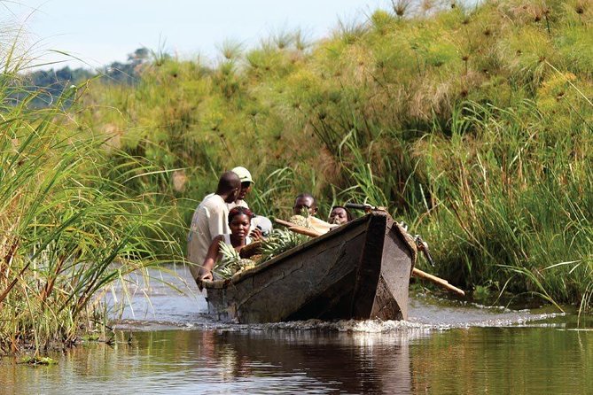 1 Day Mabamba (Shoebill) Bird Watching Tour - Shoebill & Canoe Tour - Cancellation Policy