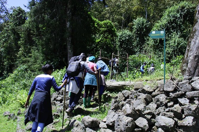 1 Day Mt Bisoke Hike Adventure in Volcanoes Park ( 2 Pax Min) - Additional Information