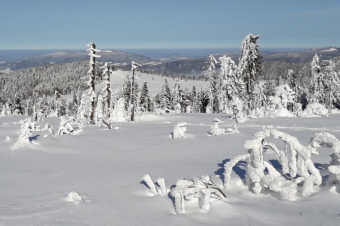 1-Day Private Snowshoe Hike in the Gorce Mountains Near Krakow - Frequently Asked Questions
