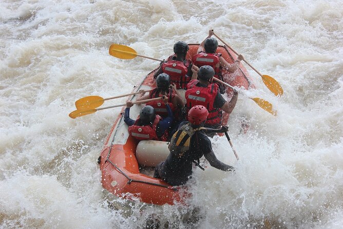 1-Day Rafting and Source of the Nile Adventure