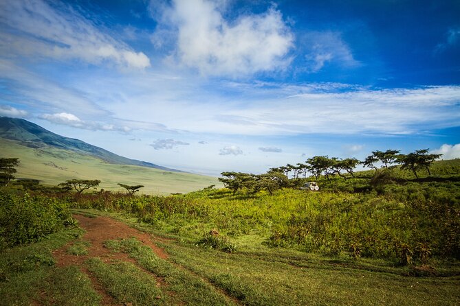 1 Day Short 4x4 Safari: ARUSHA NATIONAL PARK Incl. Lodge-Lunch - Safety and Accessibility