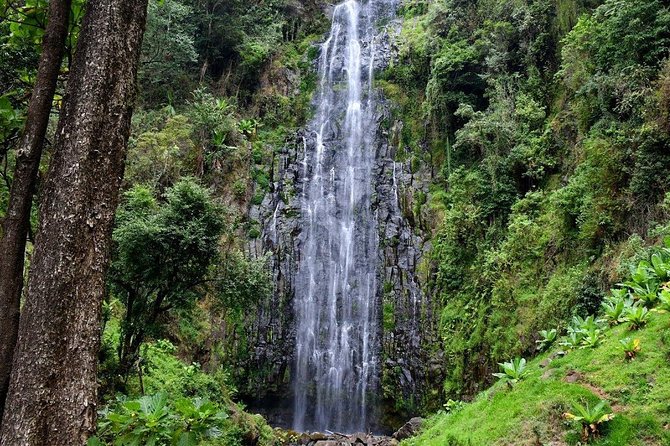 1 Day Tour to Materuni Waterfalls and Coffee Tour