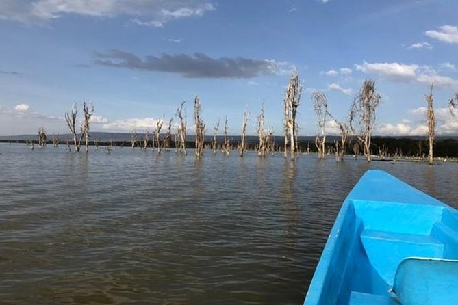 1 Day Trip to Hells Gate and Lake Naivasha From Nairobi - The Sum Up