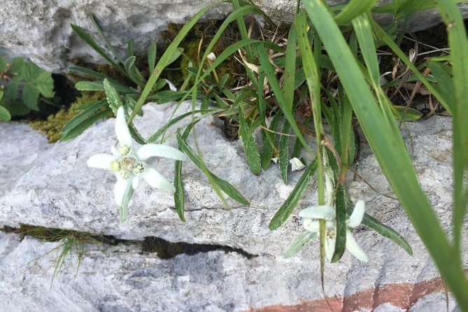 1 Day White Rocks Wilderness - Vihoraski Trail Hike From Zagreb - Frequently Asked Questions