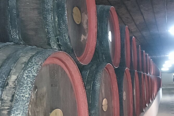 1 Day: Wine Tasting Tour to Milesti Mici and Cricova Cellar From Moldova - Booking Information